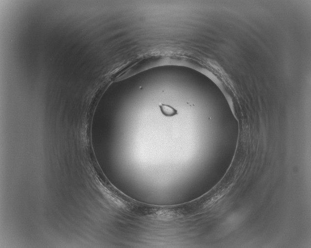 X0000073520441200608141004