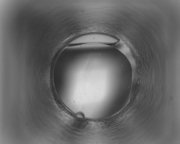 X0000073520442200608141004