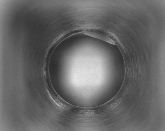 X0000073520443200608141004