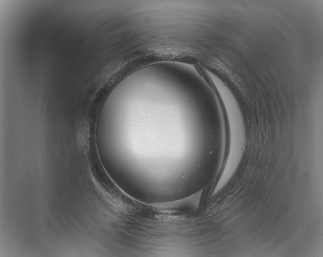 X0000073520448200608141004