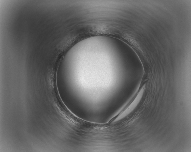 X0000073520450200608141004