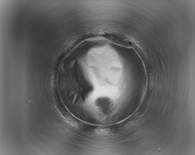 X0000073520451200608141004