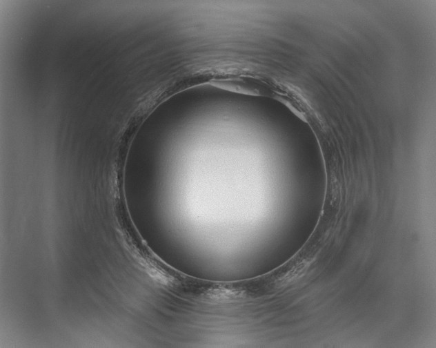 X0000073520453200608141004