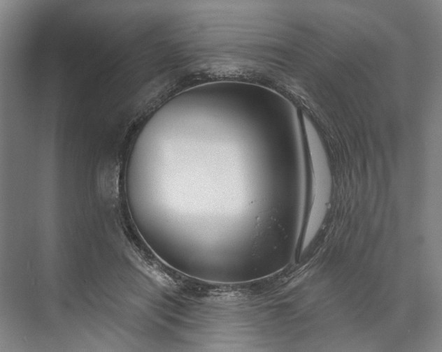 X0000073520454200608141004