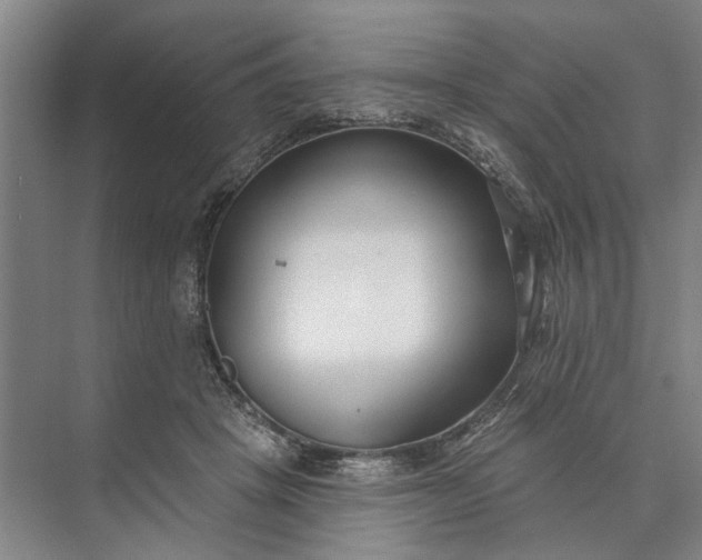 X0000073520457200608141004