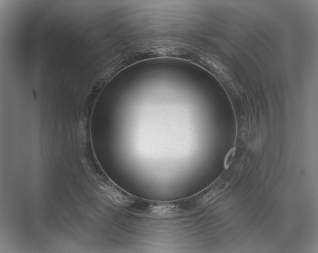 X0000073520461200608141004