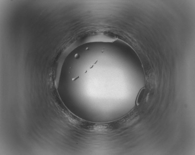 X0000073520462200608141005