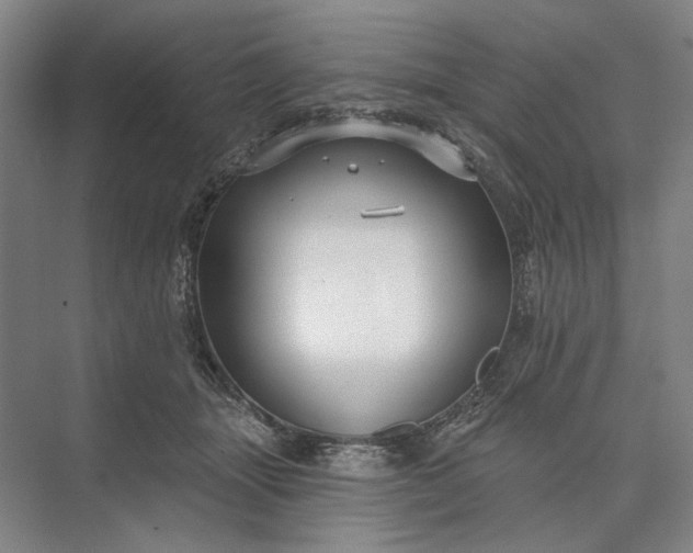 X0000073520463200608141005