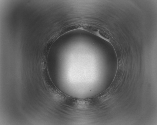 X0000073520464200608141005