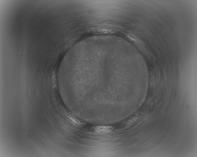 X0000073520465200608141005