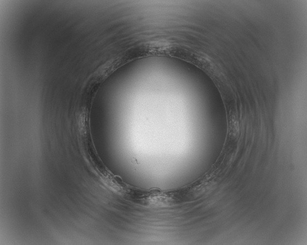 X0000073520468200608141005