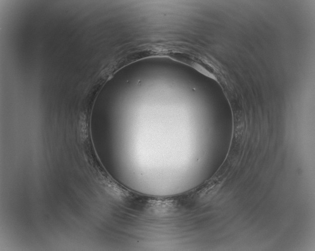 X0000073520469200608141005