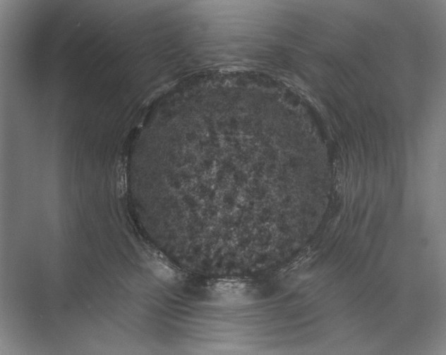 X0000073520471200608141005