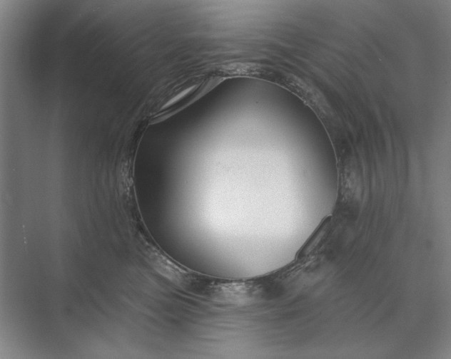 X0000073520473200608141005