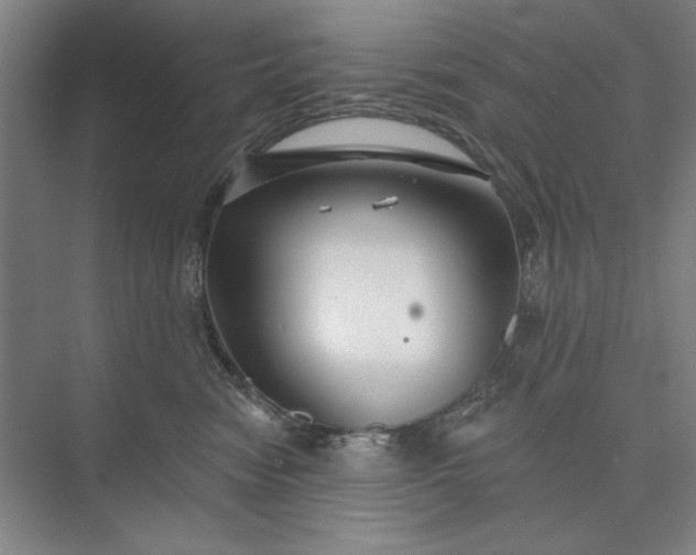 X0000073520474200608141005