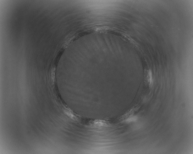 X0000073520475200608141005