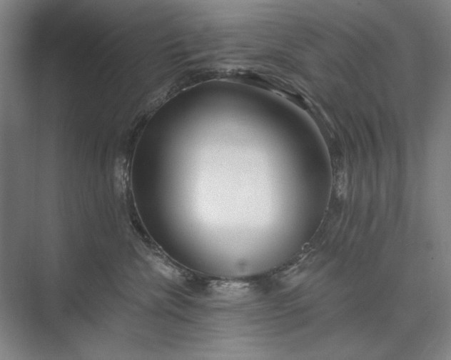 X0000073520476200608141005