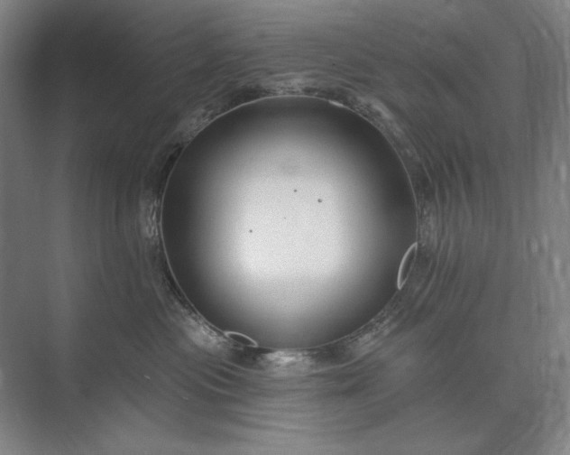 X0000073520477200608141005