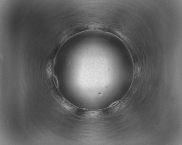 X0000073520479200608141005