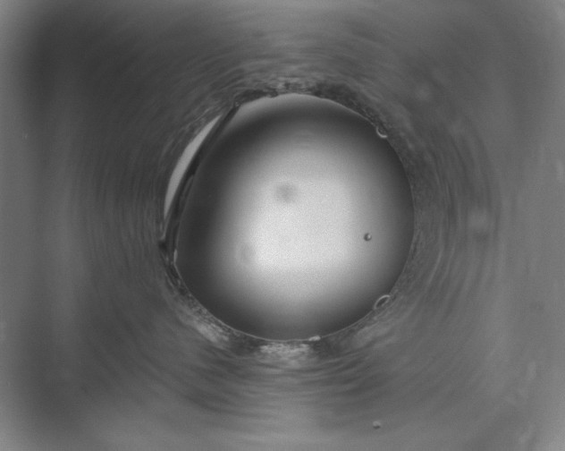 X0000073520480200608141005