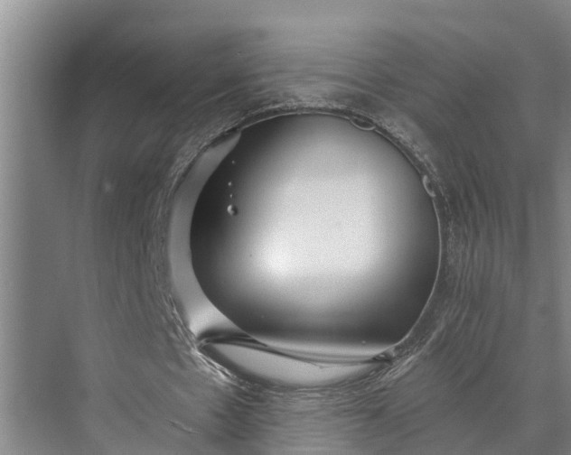 X0000073520481200608141004