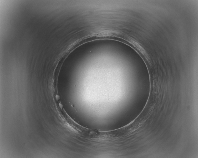 X0000073520485200608141004