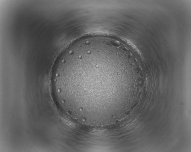 X0000073520487200608141004