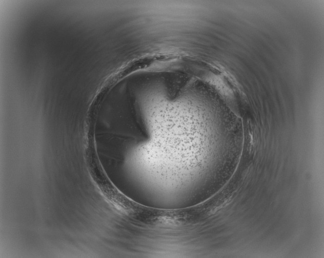 X0000073520496200608141004