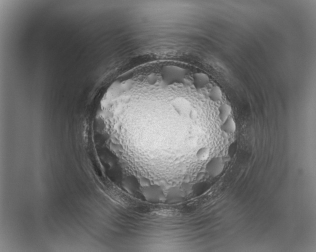 X0000073520499200608141004