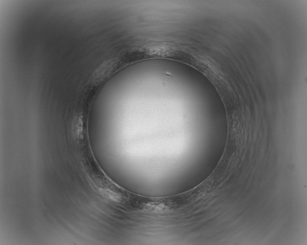 X0000073520502200608141004