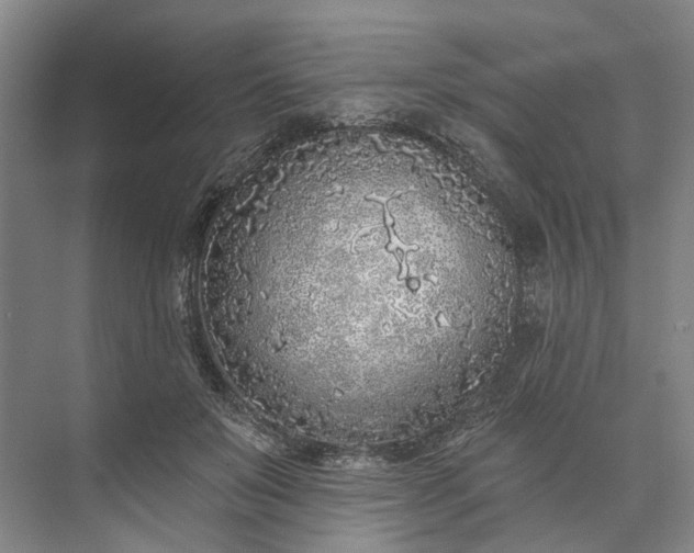 X0000073520503200608141004