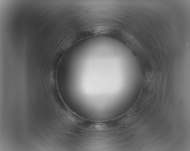 X0000073520506200608141004