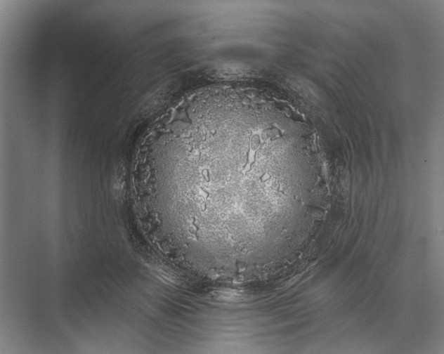 X0000073520507200608141004