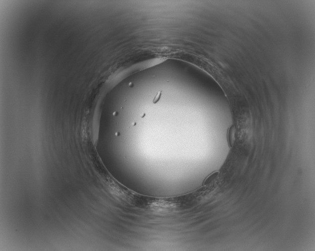 X0000073520515200608141003