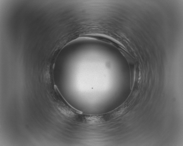 X0000073520516200608141003