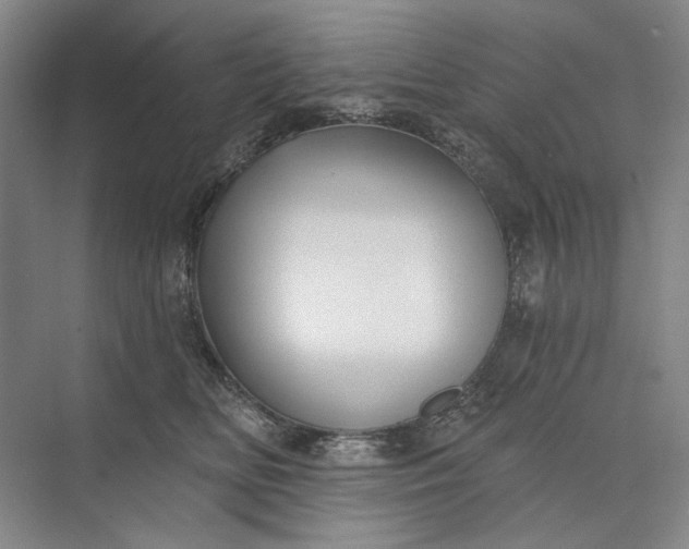 X0000073520518200608141003