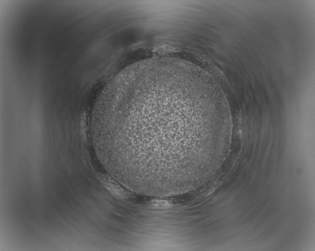 X0000073520519200608141003