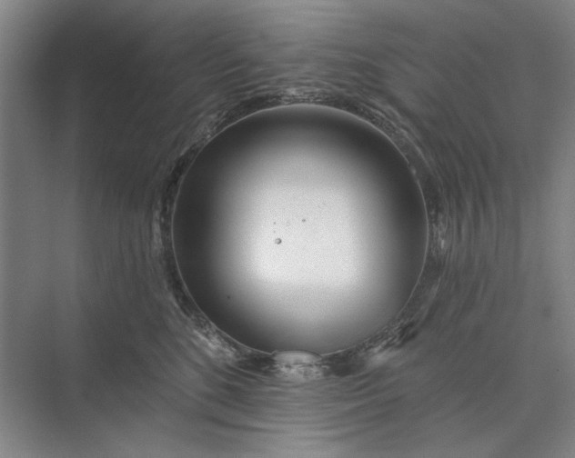 X0000073520520200608141003