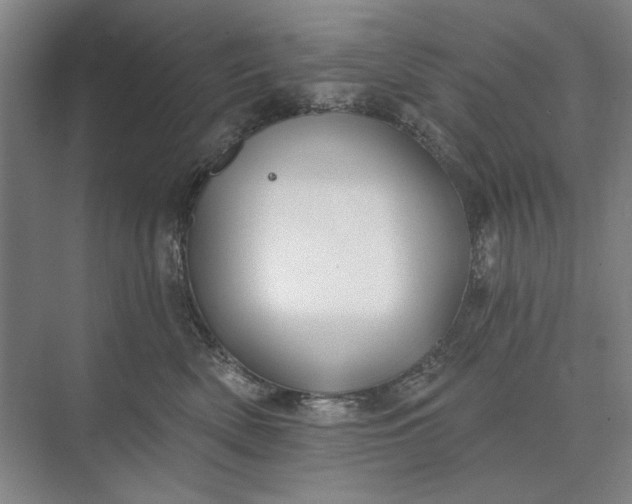 X0000073520522200608141003