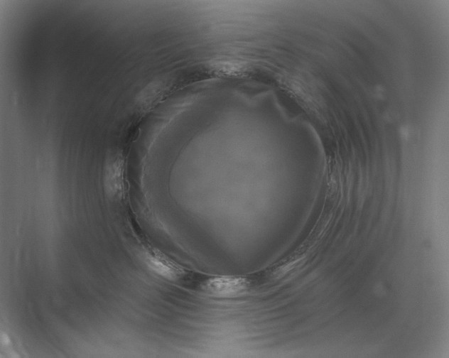 X0000073520526200608141003