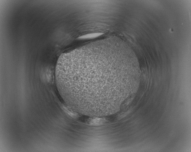 X0000073520527200608141003