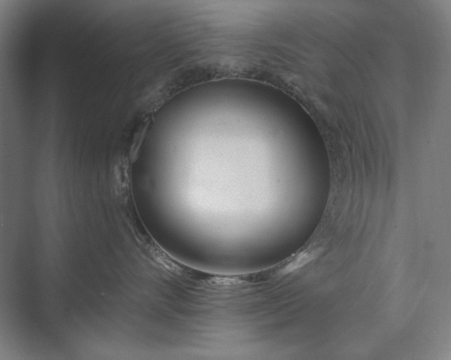 X0000073520528200608141003