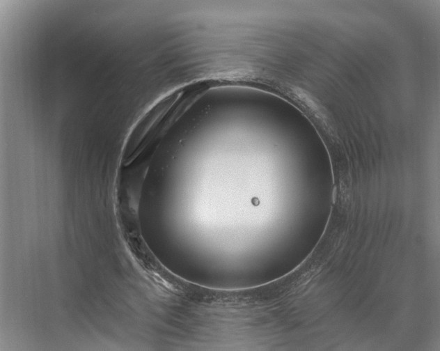 X0000073520532200608141002