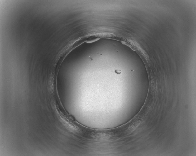 X0000073520533200608141002