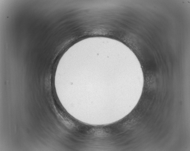 X0000073520534200608141002