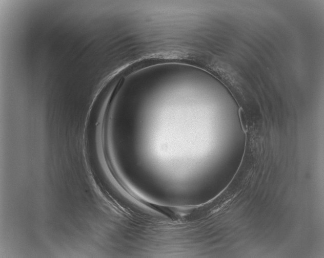 X0000073520536200608141002