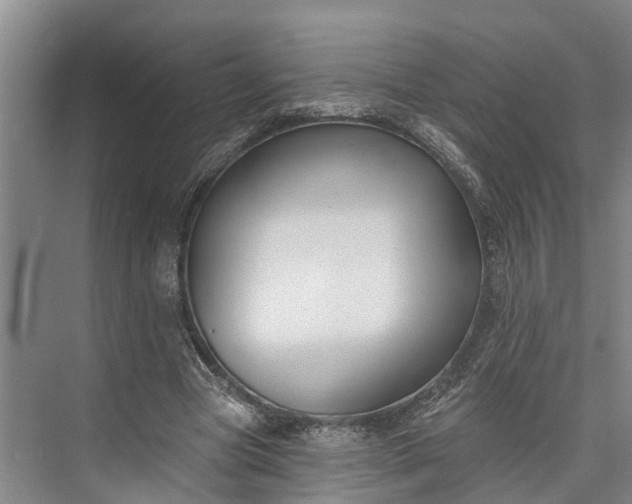 X0000073520537200608141003