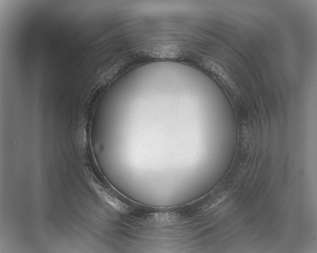 X0000073520541200608141003