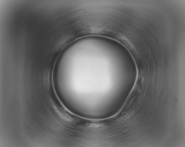 X0000073520542200608141003