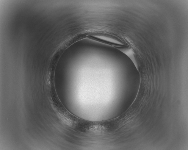 X0000073520543200608141003